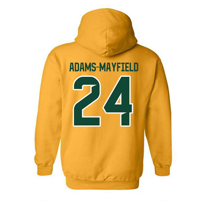 Baylor - NCAA Acrobatics & Tumbling : Aaliyah Adams-Mayfield - Classic Shersey Hooded Sweatshirt-1