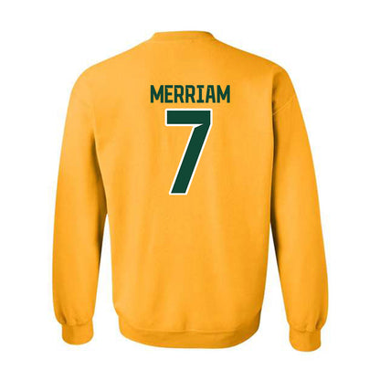Baylor - NCAA Women's Soccer : Adriana Merriam - Classic Shersey Crewneck Sweatshirt
