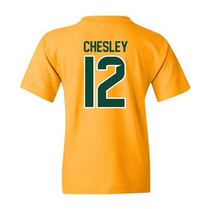 Baylor - NCAA Women's Soccer : Brianna Chesley - Classic Shersey Youth T-Shirt