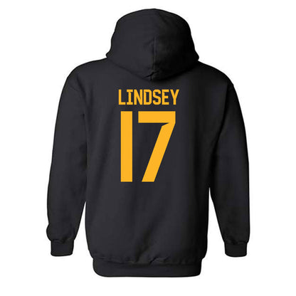 Baylor - NCAA Softball : Gigi Lindsey - Classic Fashion Shersey Hooded Sweatshirt-1