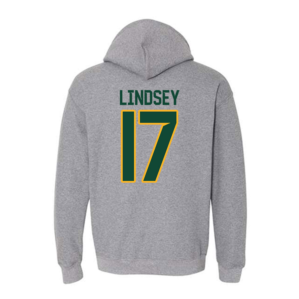 Baylor - NCAA Softball : Gigi Lindsey - Classic Fashion Shersey Hooded Sweatshirt-1