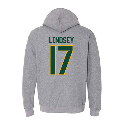 Baylor - NCAA Softball : Gigi Lindsey - Classic Fashion Shersey Hooded Sweatshirt-1