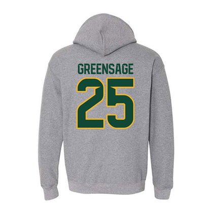 Baylor - NCAA Women's Soccer : Morgan Greensage - Classic Fashion Shersey Hooded Sweatshirt