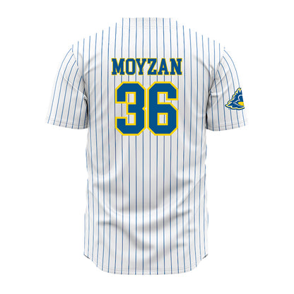 Delaware - NCAA Baseball : Ben Moyzan - Pinstripe Jersey-1