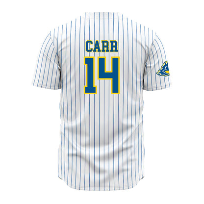 Delaware - NCAA Baseball : Harry Carr - Pinstripe Jersey-1