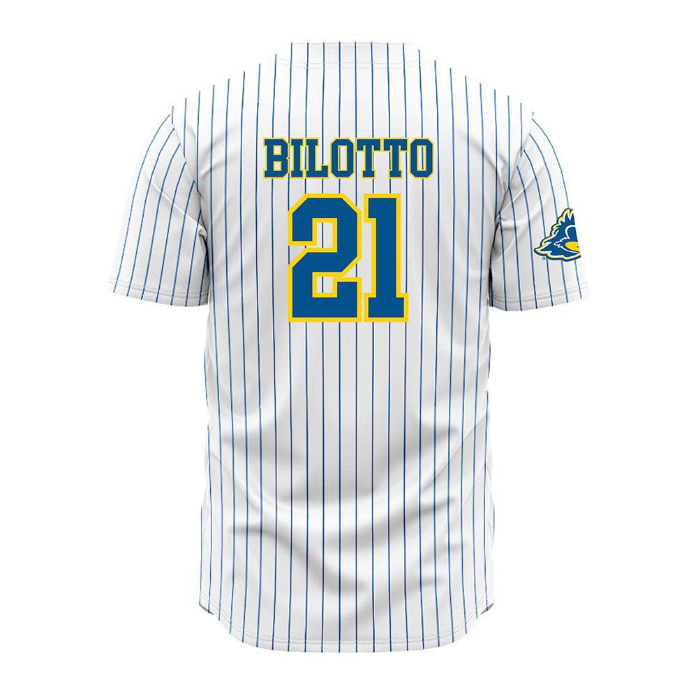 Delaware - NCAA Baseball : Nicholas Bilotto - Pinstripe Jersey-1