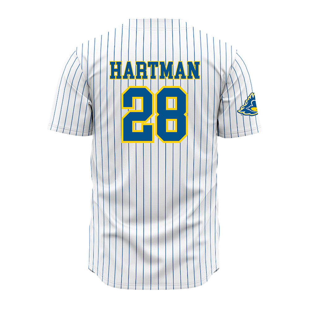 Delaware - NCAA Baseball : Tim Hartman - Pinstripe Jersey-1
