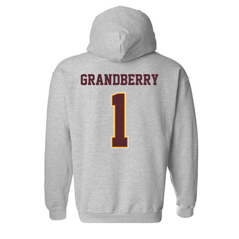 Loyola - NCAA Women's Basketball : Roisin Grandberry - Classic Shersey Hooded Sweatshirt