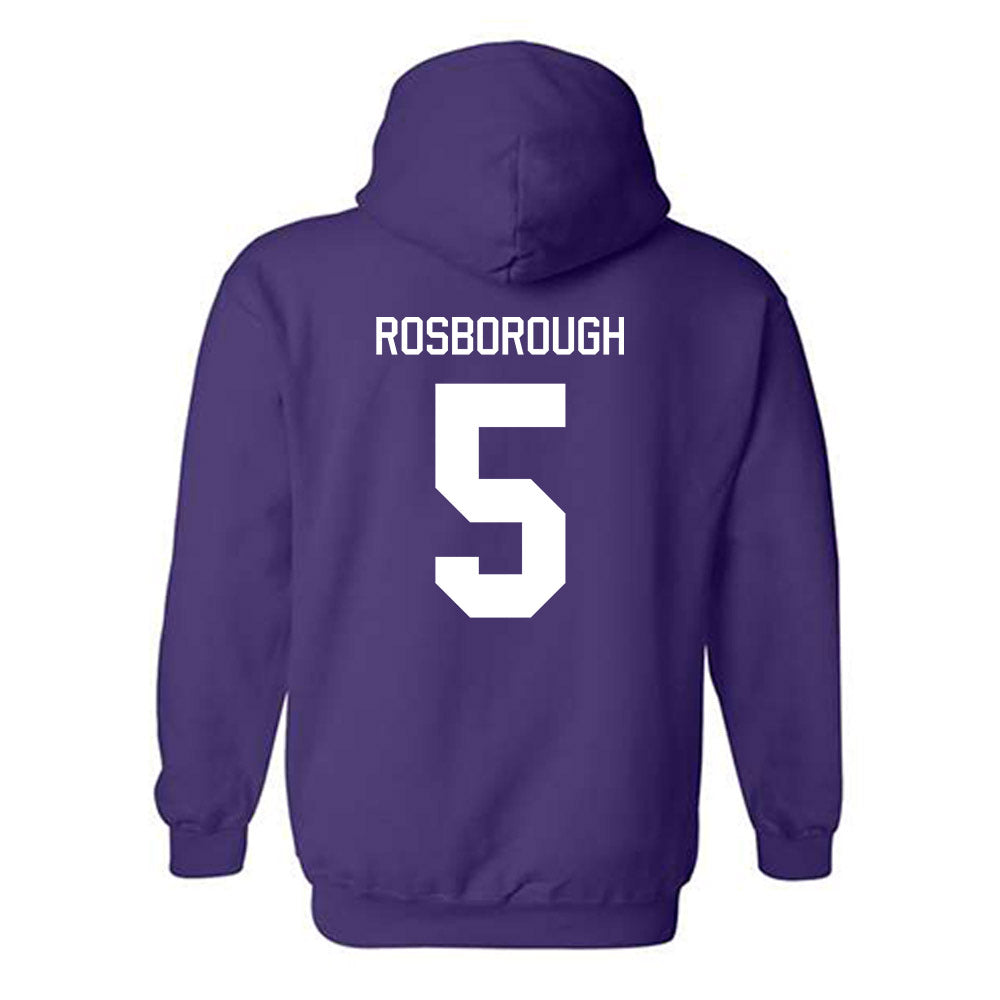 Tarleton State - NCAA Women's Basketball : Arieona Rosborough - Classic Shersey Hooded Sweatshirt-1