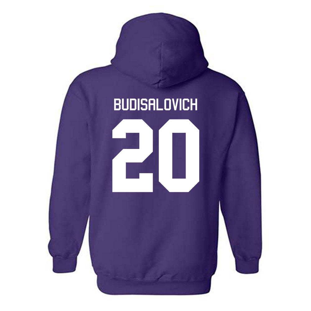Tarleton State - NCAA Softball : Alyssa Budisalovich - Classic Shersey Hooded Sweatshirt-1