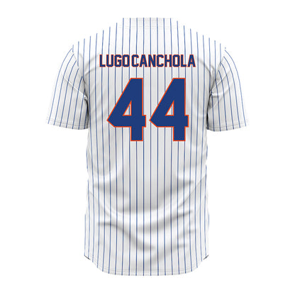Florida - NCAA Baseball : Ernesto Lugo-Canchola - White Pinstripe Jersey-1