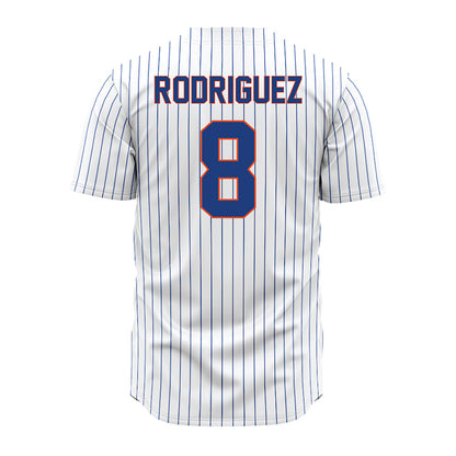 Florida - NCAA Baseball : Christian Rodriguez - White Pinstripe Jersey