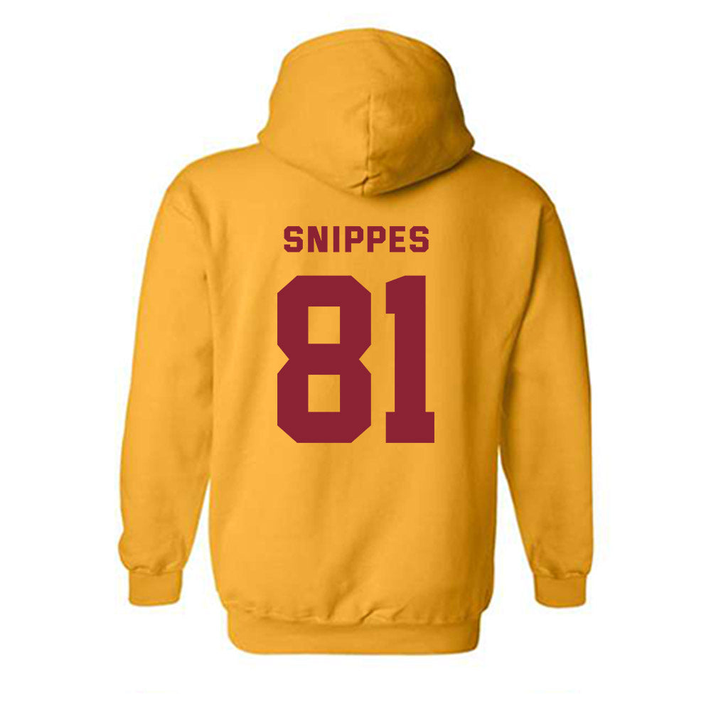 Minnesota - NCAA Softball : Jessa Snippes - Sports Shersey Hooded Sweatshirt-1