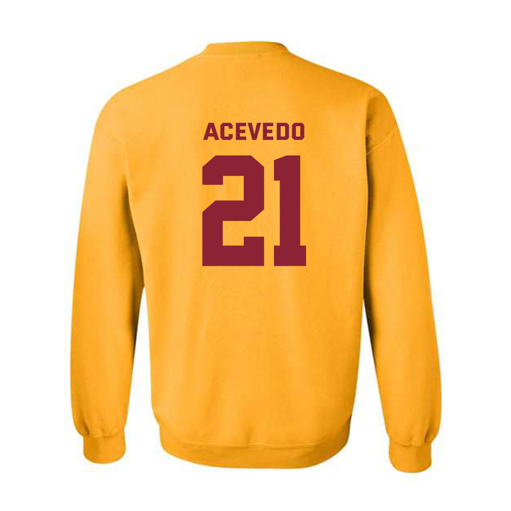 Minnesota - NCAA Women's Volleyball : Alex Acevedo - Sports Shersey Crewneck Sweatshirt-1