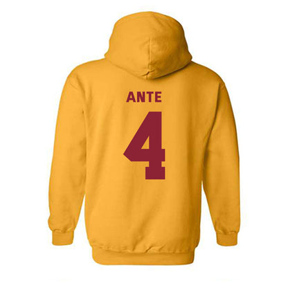 Minnesota - NCAA Women's Tennis : Jeselle Ante - Sports Shersey Hooded Sweatshirt-1