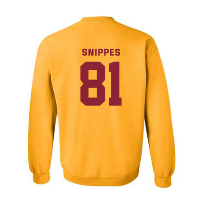 Minnesota - NCAA Softball : Jessa Snippes - Sports Shersey Crewneck Sweatshirt-1