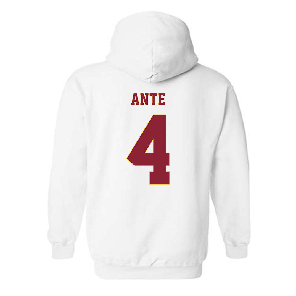 Minnesota - NCAA Women's Tennis : Jeselle Ante - Classic Fashion Shersey Hooded Sweatshirt-1