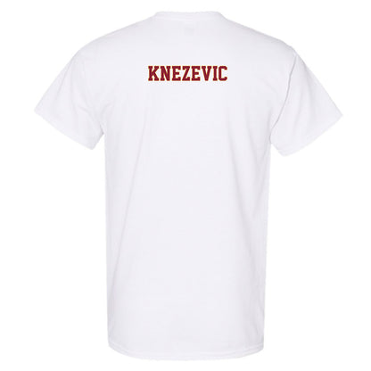Minnesota - NCAA Women's Tennis : Nora Knezevic - Classic Fashion Shersey T-Shirt-1