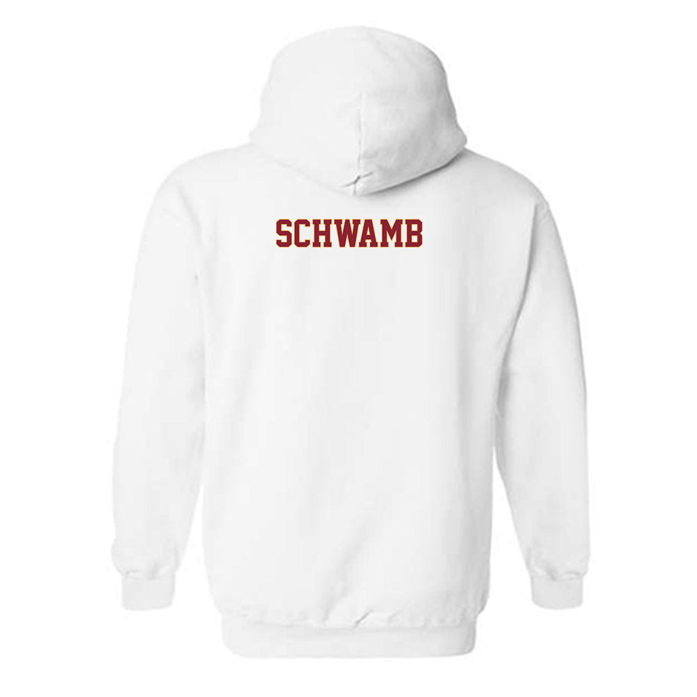 Minnesota - NCAA Men's Golf : Kyler Schwamb - Classic Fashion Shersey Hooded Sweatshirt-1