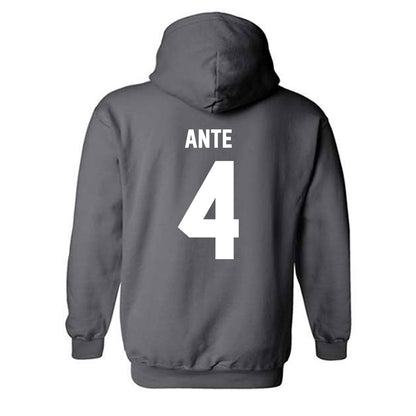 Minnesota - NCAA Women's Tennis : Jeselle Ante - Classic Fashion Shersey Hooded Sweatshirt-1