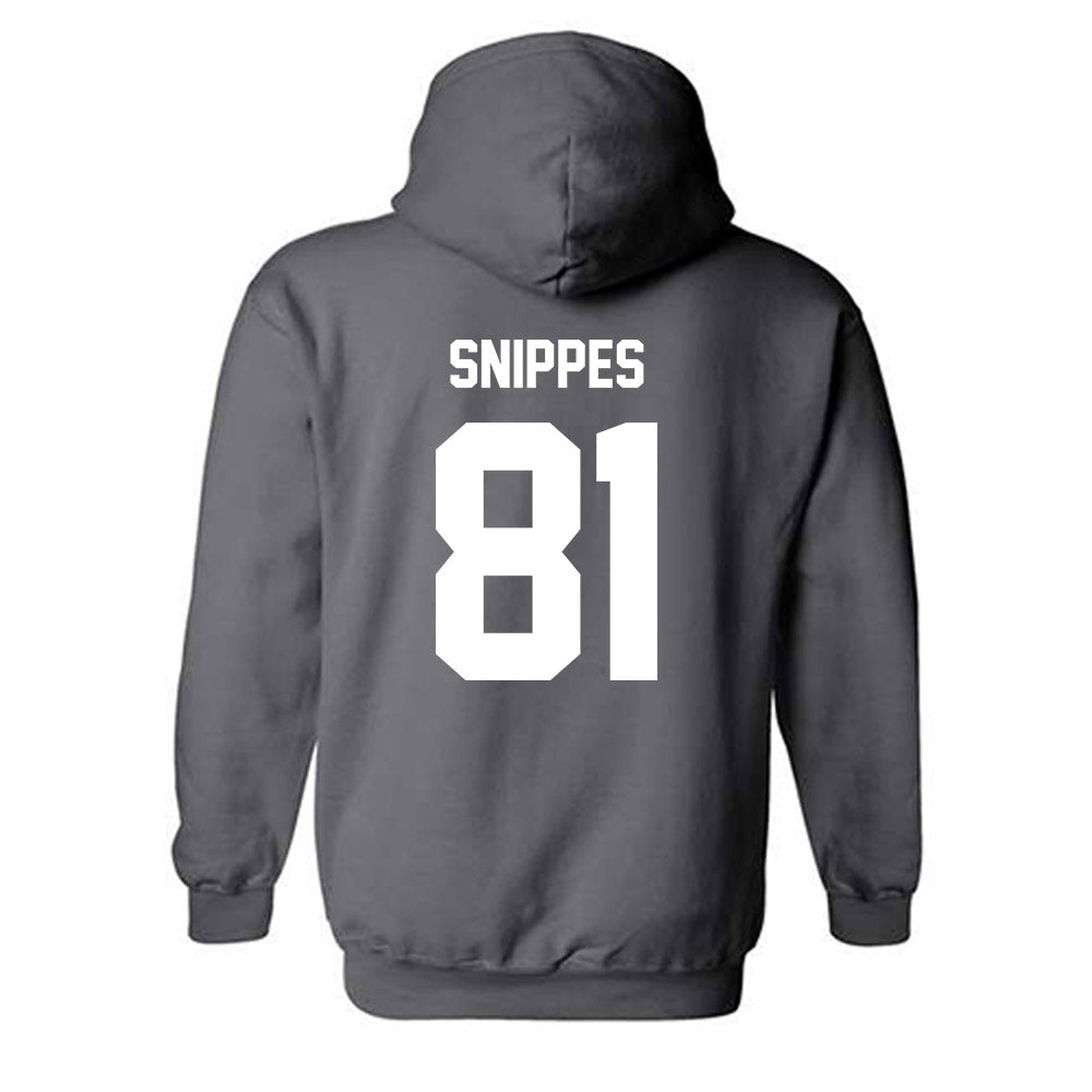 Minnesota - NCAA Softball : Jessa Snippes - Classic Fashion Shersey Hooded Sweatshirt-1