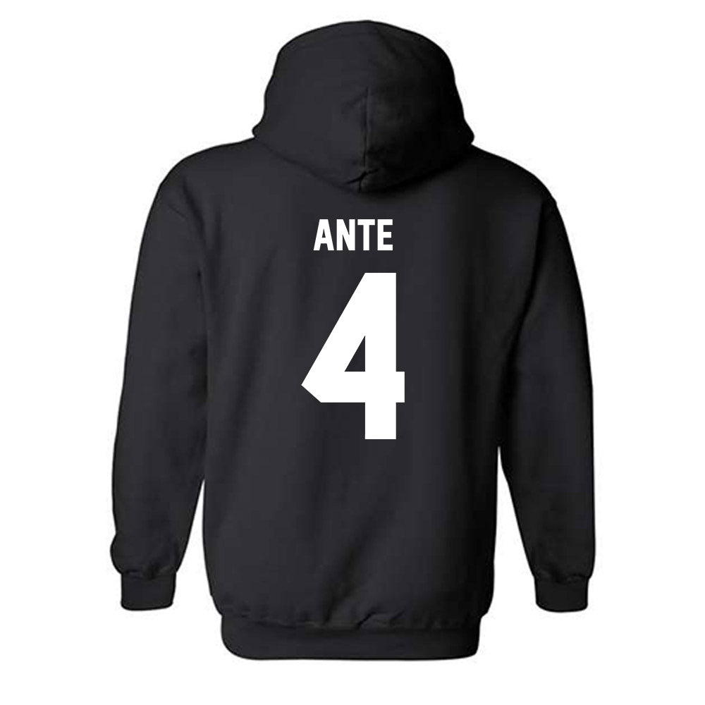 Minnesota - NCAA Women's Tennis : Jeselle Ante - Classic Fashion Shersey Hooded Sweatshirt-1