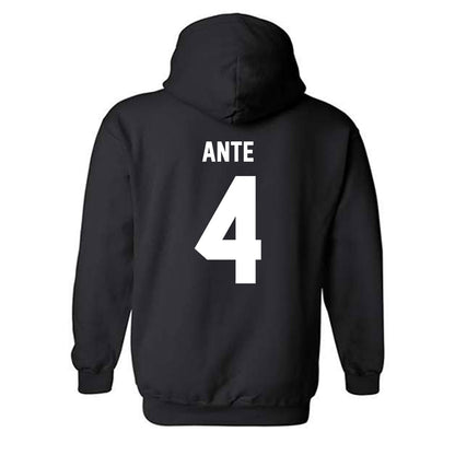 Minnesota - NCAA Women's Tennis : Jeselle Ante - Classic Fashion Shersey Hooded Sweatshirt-1