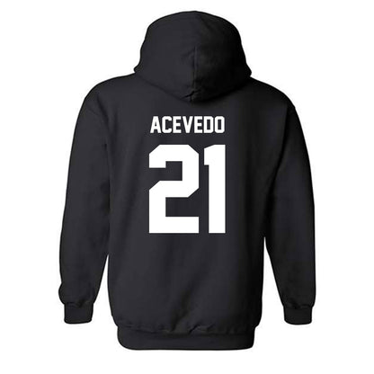 Minnesota - NCAA Women's Volleyball : Alex Acevedo - Classic Fashion Shersey Hooded Sweatshirt-1