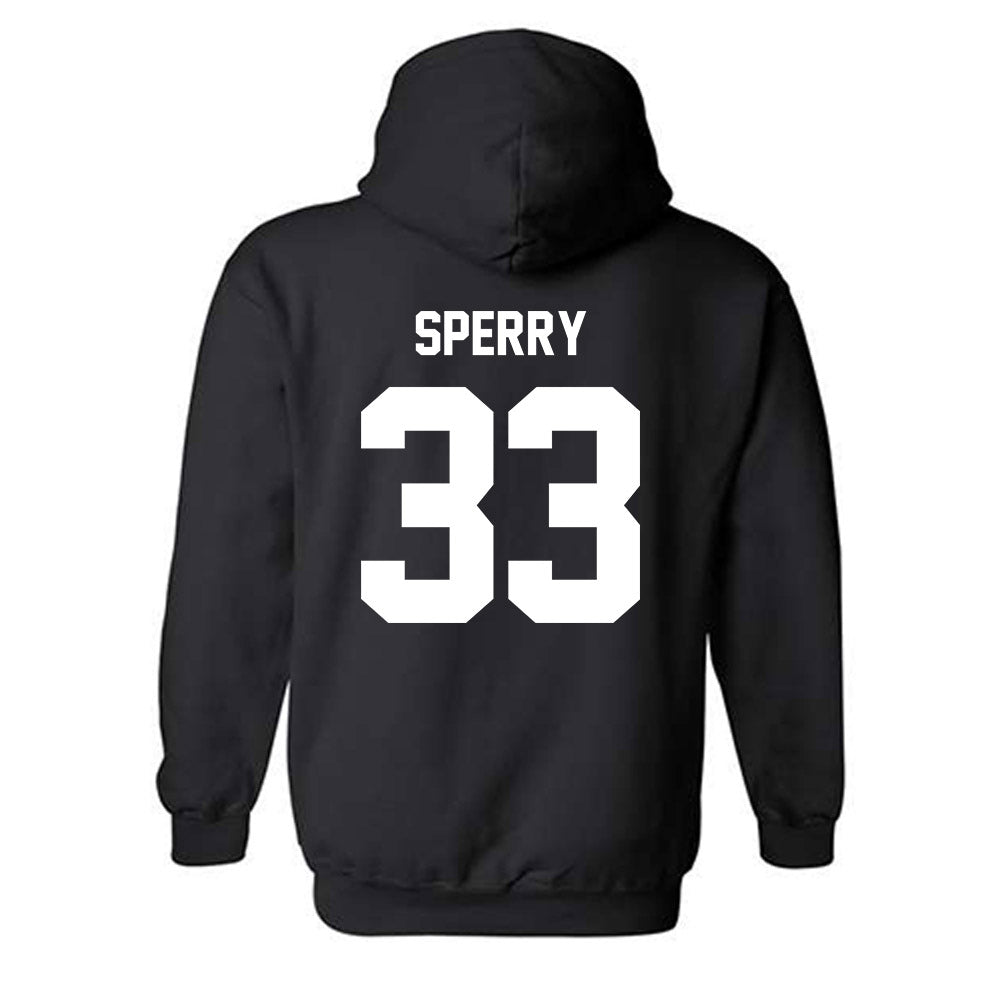 Minnesota - NCAA Baseball : Joe Sperry - Classic Fashion Shersey Hooded Sweatshirt-1
