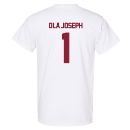 Minnesota - NCAA Men's Basketball : Joshua Ola-Joseph - Classic Shersey T-Shirt