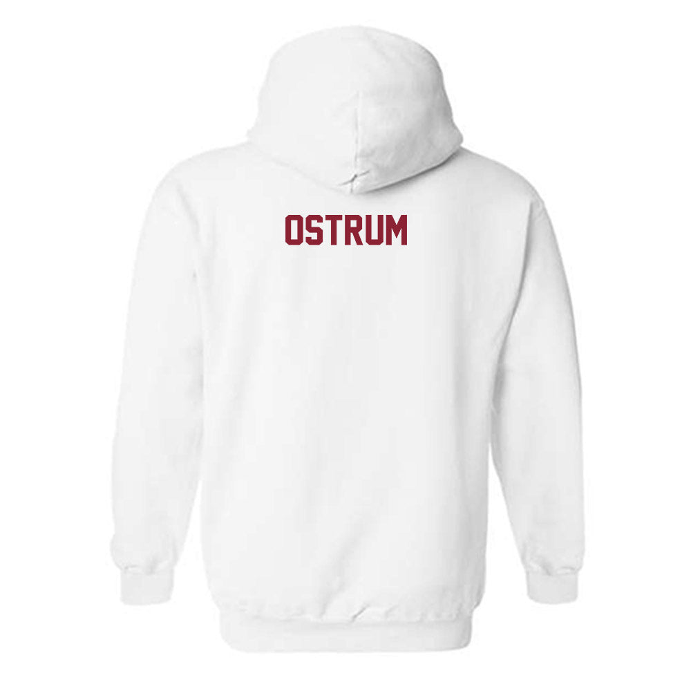 Minnesota - NCAA Women's Gymnastics : Arianna Ostrum - Classic Shersey Hooded Sweatshirt-1