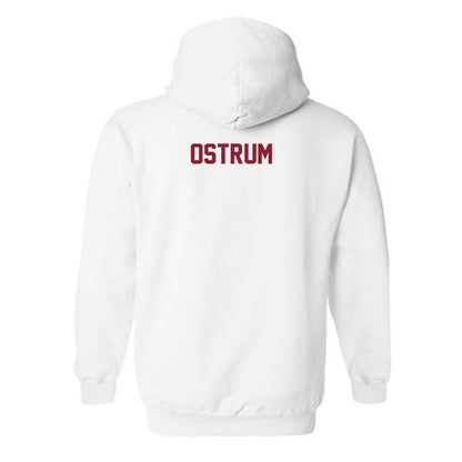 Minnesota - NCAA Women's Gymnastics : Arianna Ostrum - Classic Shersey Hooded Sweatshirt-1