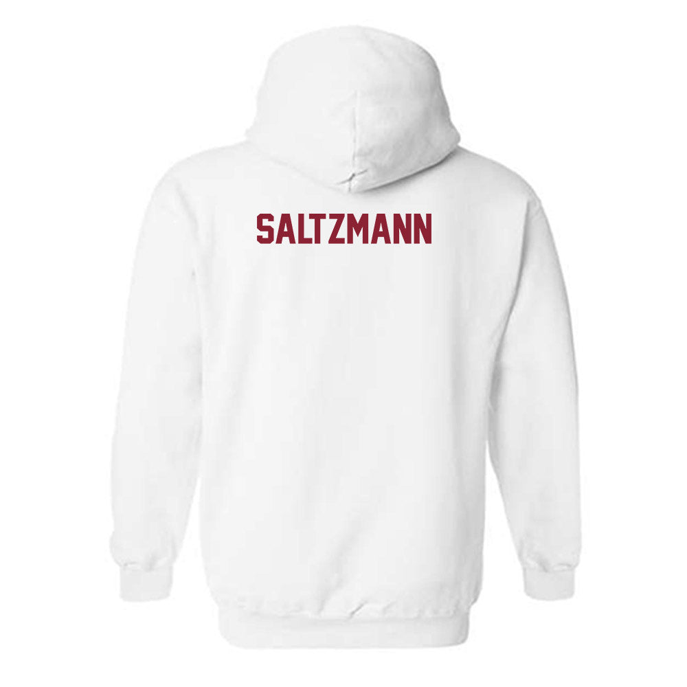 Minnesota - NCAA Women's Gymnastics : Lacie Saltzmann - Classic Shersey Hooded Sweatshirt-1