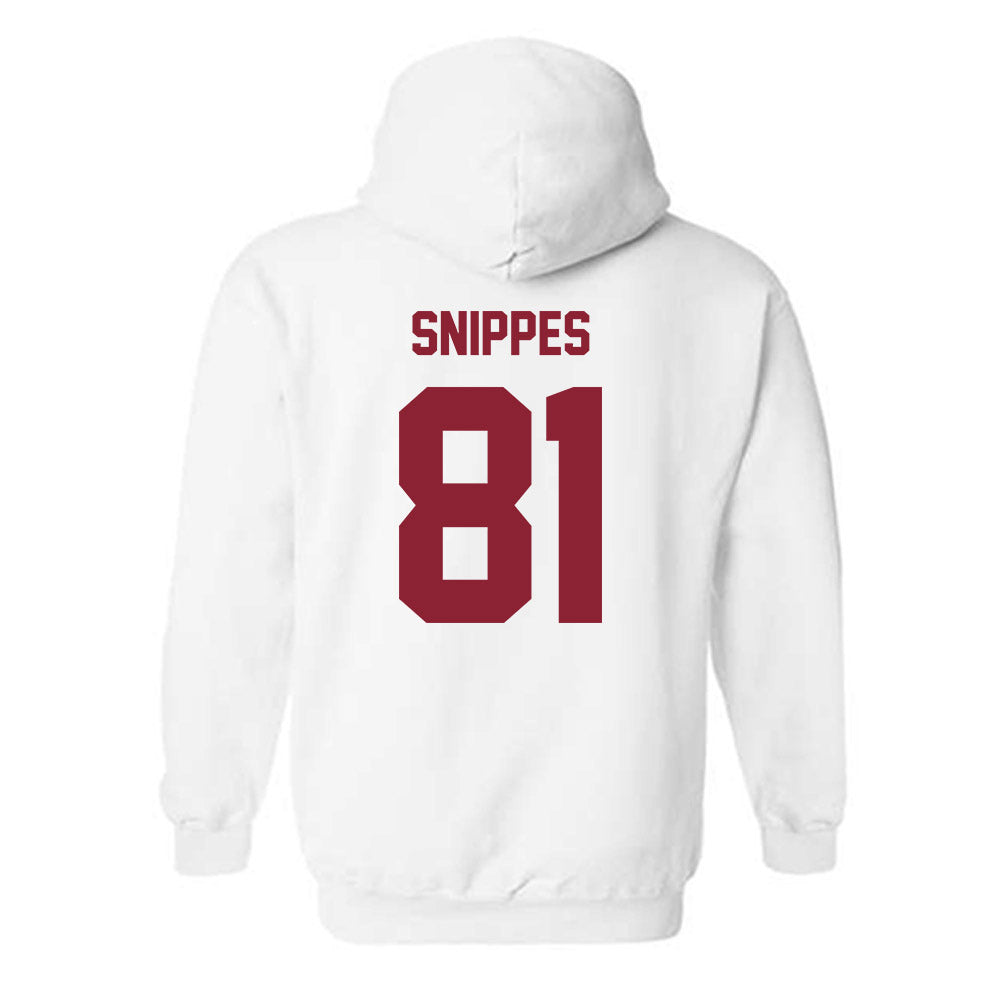 Minnesota - NCAA Softball : Jessa Snippes - Classic Shersey Hooded Sweatshirt-1