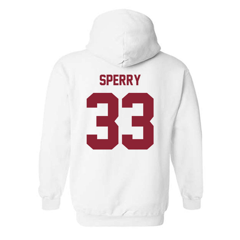 Minnesota - NCAA Baseball : Joe Sperry - Classic Shersey Hooded Sweatshirt-1