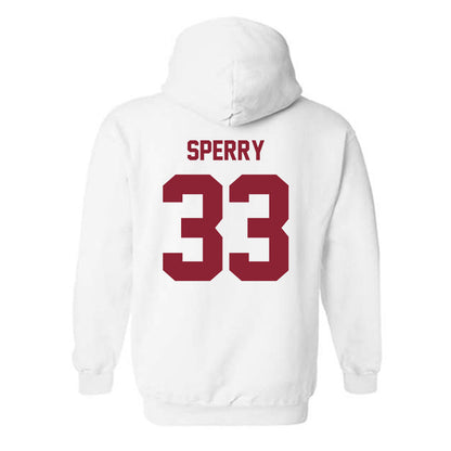 Minnesota - NCAA Baseball : Joe Sperry - Classic Shersey Hooded Sweatshirt-1