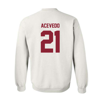Minnesota - NCAA Women's Volleyball : Alex Acevedo - Classic Shersey Crewneck Sweatshirt-1