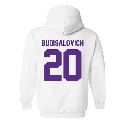 Tarleton State - NCAA Softball : Alyssa Budisalovich - Classic Shersey Hooded Sweatshirt-1