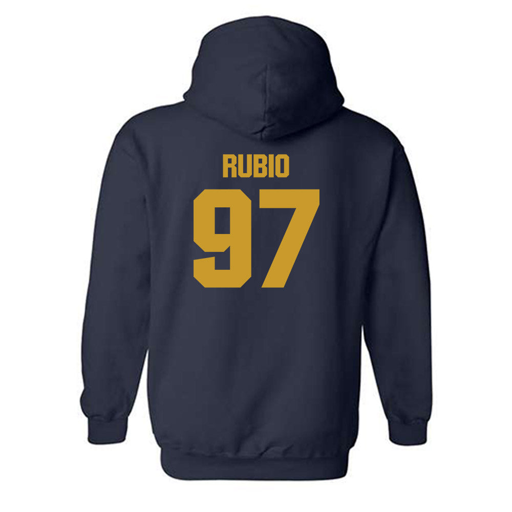 Notre Dame - NCAA Football : Gabriel Rubio - Classic Fashion Shersey Hooded Sweatshirt-1
