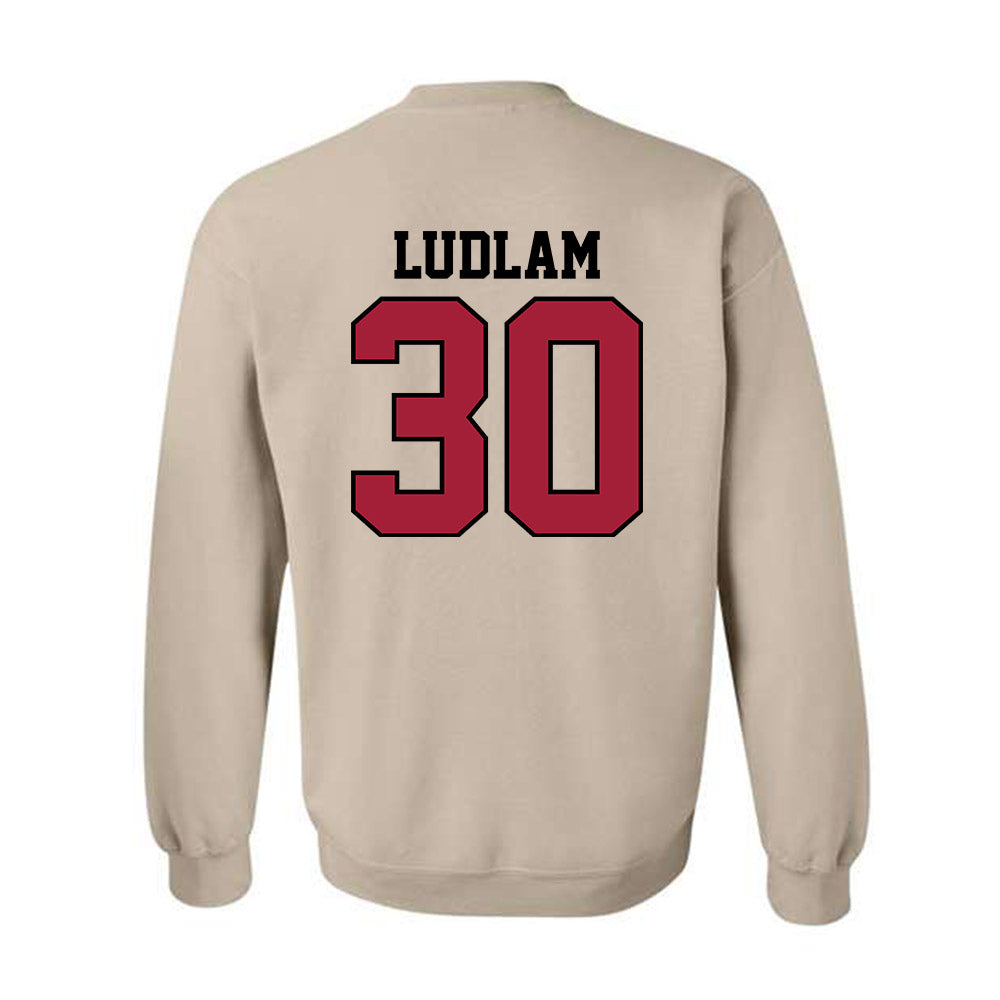 Oklahoma - NCAA Softball : Riley Ludlam - Crewneck Sweatshirt Classic Shersey