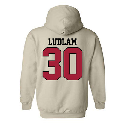 Oklahoma - NCAA Softball : Riley Ludlam - Hooded Sweatshirt Classic Shersey