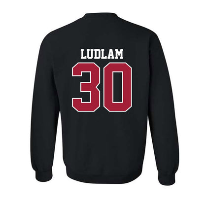 Oklahoma - NCAA Softball : Riley Ludlam - Crewneck Sweatshirt Classic Shersey