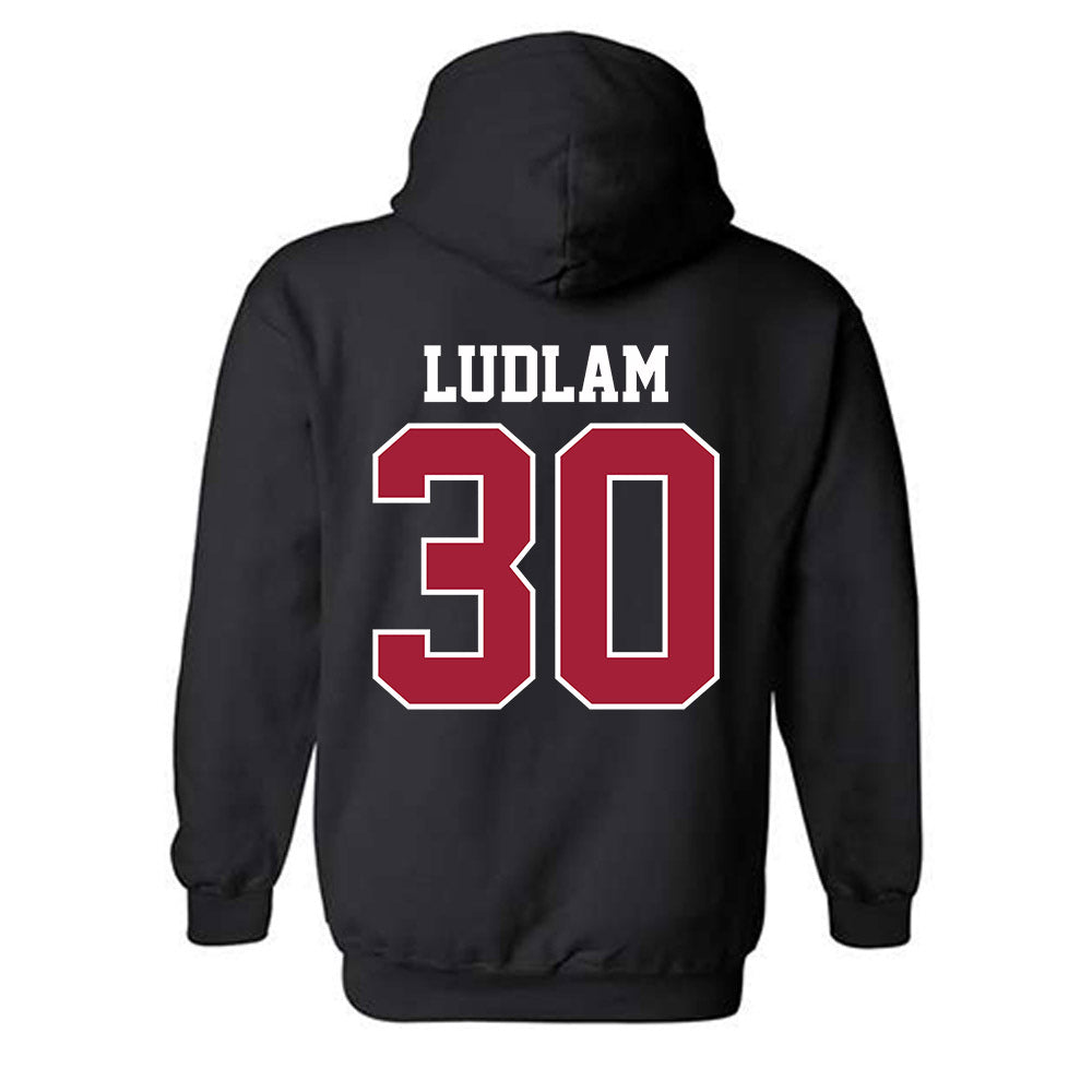 Oklahoma - NCAA Softball : Riley Ludlam - Hooded Sweatshirt Classic Shersey