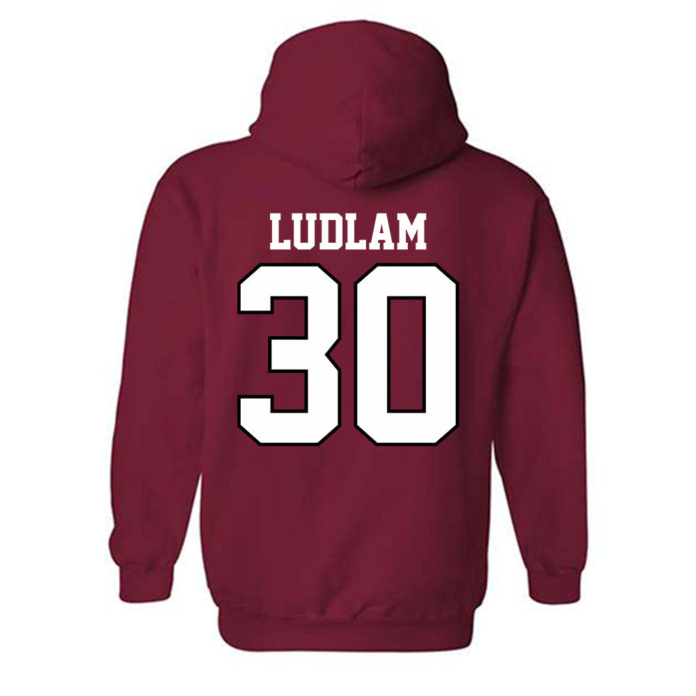 Oklahoma - NCAA Softball : Riley Ludlam - Hooded Sweatshirt Sports Shersey