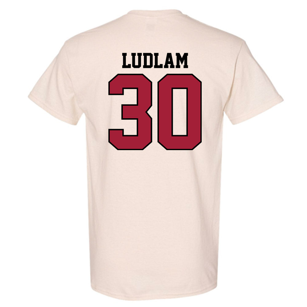 Oklahoma - NCAA Softball : Riley Ludlam - T-Shirt Sports Shersey