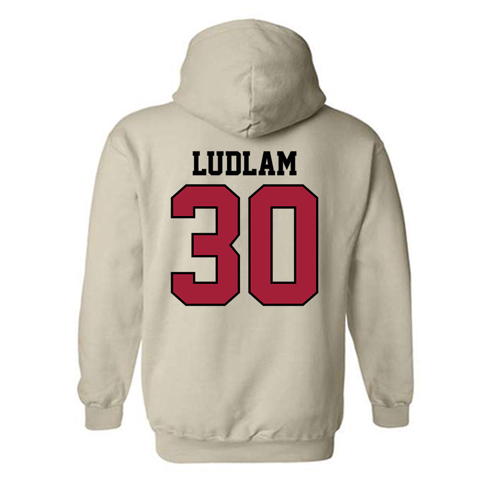 Oklahoma - NCAA Softball : Riley Ludlam - Hooded Sweatshirt Sports Shersey