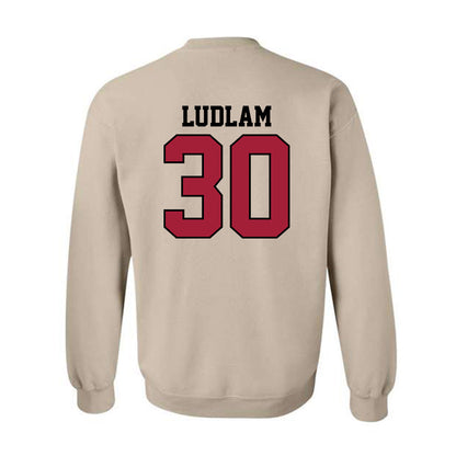 Oklahoma - NCAA Softball : Riley Ludlam - Crewneck Sweatshirt Sports Shersey