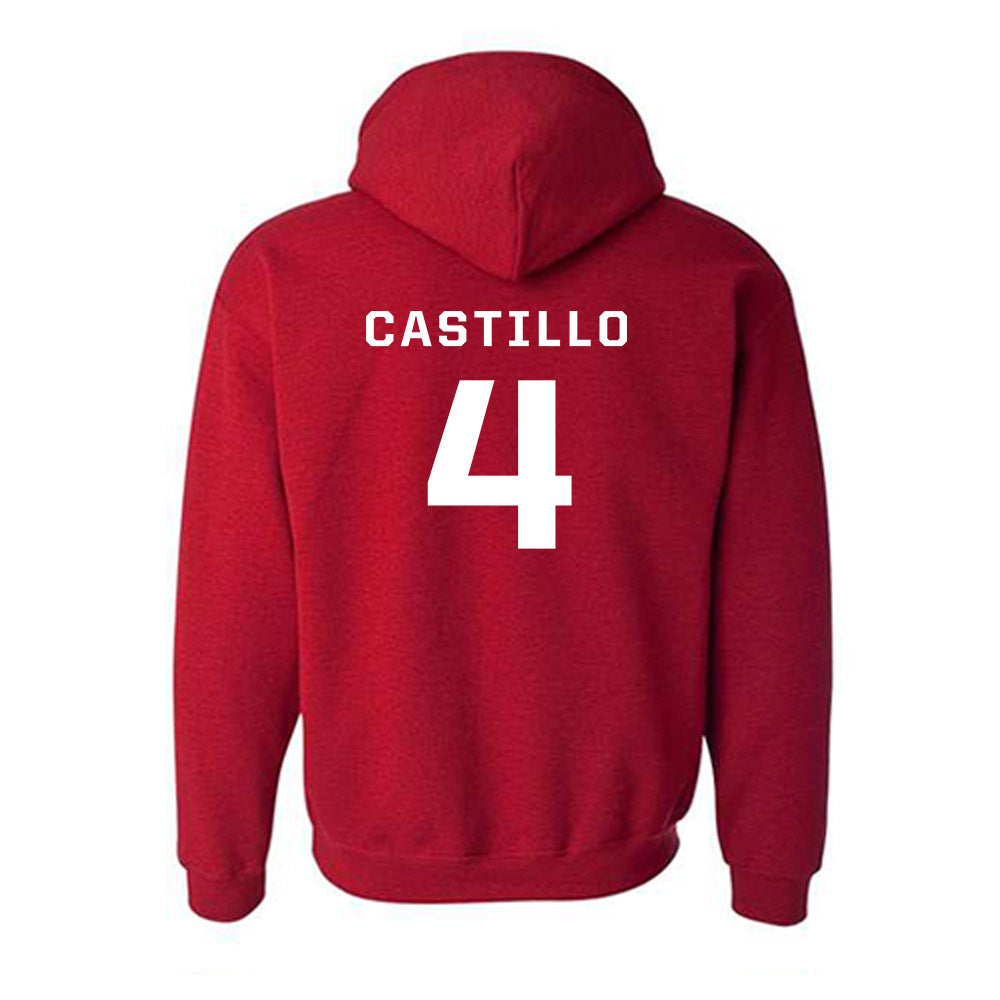 New Mexico - NCAA Softball : Ava Castillo - Classic Fashion Shersey Hooded Sweatshirt-1