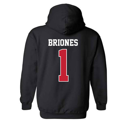 New Mexico - NCAA Softball : Gabrielle Briones - Classic Fashion Shersey Hooded Sweatshirt-1