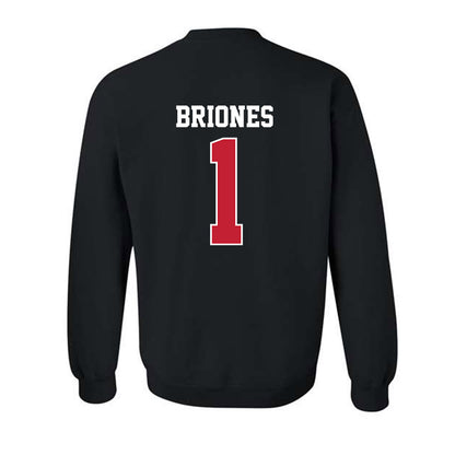 New Mexico - NCAA Softball : Gabrielle Briones - Classic Fashion Shersey Crewneck Sweatshirt-1